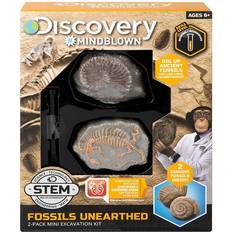 Plastica Kit per esperimenti scientifici Toy Excavation Kit Mini Fossil 2 Piece