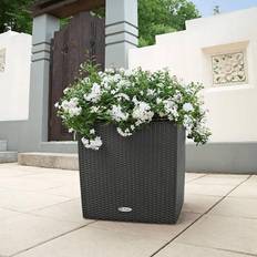 Lechuza Granite, H50 L50 W50 CUBE Cottage Square Poly Resin Self-watering Planter Krukke