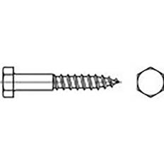 Toolcraft TO-6855600 Hexagon träskruv Utvändig hexagon DIN 571 Galvaniserat