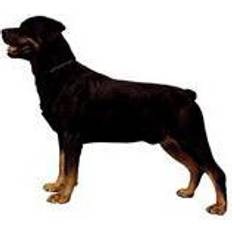 Rottweiler KW ROTTWEILER