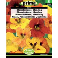 Prima Krukker, Planter & Dyrkning Prima Blomsterkarse, blanding Juvel frø Blomsterfrø