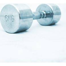 6kg dumbbells Chrome Dumbbell, 6 kg