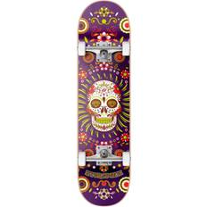 Kompletta skateboards på rea Hydroponic Mexican Complete Skateboard Purple Skull 8.125"