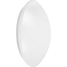 Steel Ceiling Flush Lights LEDVANCE Surface Circular White Ceiling Flush Light 35cm