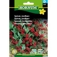Jordbær planter Hornum Spinat, Jordbær- D 1327 Grøntsagsfrø