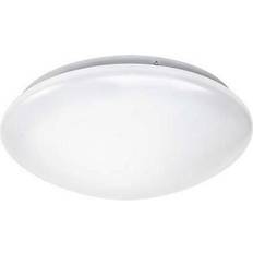 Ellen 12W 4K milky ON/OFF
