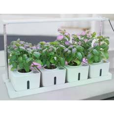Plante vækstlys LEDlife hydroponisk plantebakke Minidrivhus