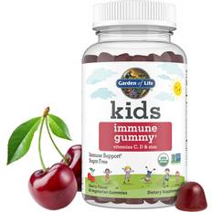 Garden of Life Kids Immune Support Gummies with Vitamin C, D as D3 Zinc