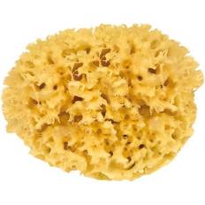 Bad sponzen Croll & Denecke Naturlig Badsvamp, Honeycomb