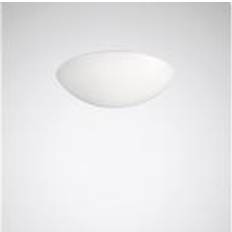 Wd1 Trilux 2868900, Diffusor, Loft, 7401N Mondia WD1, 300 g, 1 stk