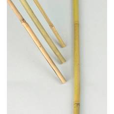 Levittäjät Nelson Garden Bambukäpp 100cm 10-Pack
