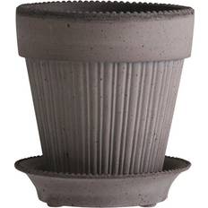 Bergs Potter Grey Dotted Pot