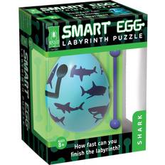 IQ Puzzles Bepuzzled Smart Egg Labyrinth Puzzle Shark