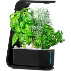 AeroGarden Pots, Plants & Cultivation AeroGarden Sprout