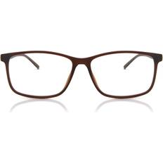 SmartBuy Collection Arnoldclavs