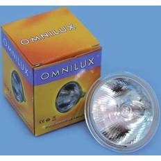 Dimmbar - GU5.3 MR16 Halogenlampen Omnilux MR-16 24V 75W GX-5.3 SP 12° EYF