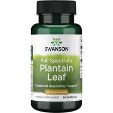 Swanson Full Spectrum Plantain Leaf Plantago