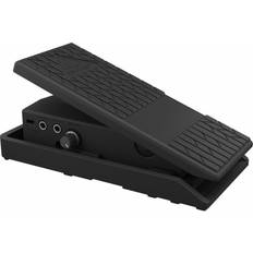 FCV100 V2