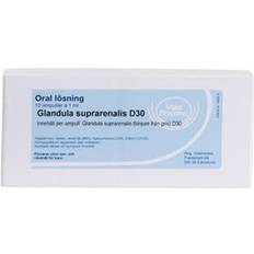 Allergica Glandula suprarenalis D30