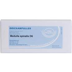 Allergica Medulla spinalis D6