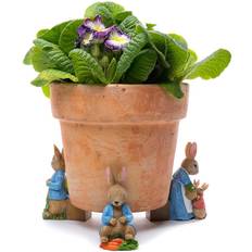 Beatrix Potter Rabbit Plant Feet