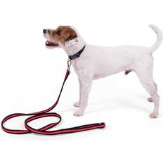 Petface Training Lead