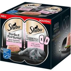 Sheba Husdjur Sheba Ekonomipack: Perfect Portions 37,5 Delicious Sauce