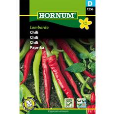 Chili planter Hornum Chili 'Lombardo', frö Grøntsagsfrø