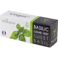 Kit per Piante Veritable Lingot Basilico Con Tutti
