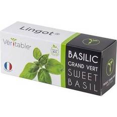 Kits de Plantes Veritable Lingot Organic Sweet Basil