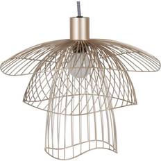 Papillon XS