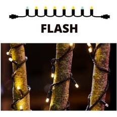 Pro connect deluxe Conzept Pro Deluxe Flash Lyskæde