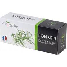 Véritable Veritable Lingot Rosemary