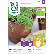 Karse frø Nelson Garden Økologisk Karse frø Grøntsagsfrø