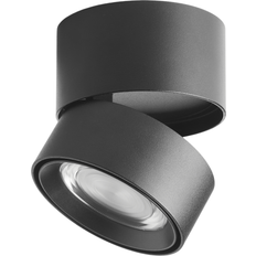 Loom Design Ray Spotlight