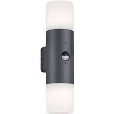 Trio Lighting Leuchten Hoosic 222260242 yttervägglampa Väggarmatur