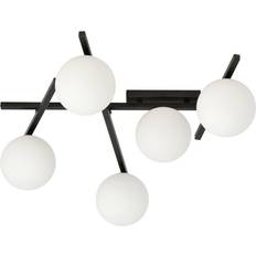 Scandinavian Choice Smart sort/opal Loftplafond