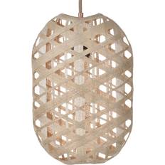 Capsule Suspension S