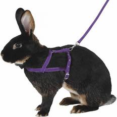 Kerbl 81760 Axelsele Agility 2