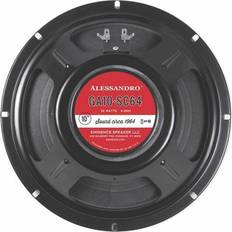 GA10-SC64 10-inch 20-watt Signature