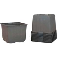 Weibulls Krukker, Planter & Dyrkning Weibulls Odlingskruka plast 11cm 10-pack Krukke