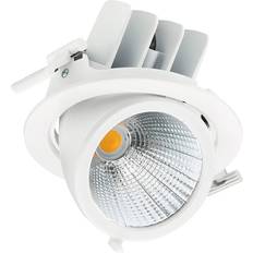 Philips dimmable lamp Philips LED Spot LuxSpace Accent Performance RS782B 31.5W 3900lm 36D 830 167mm Zigbee Dimmable