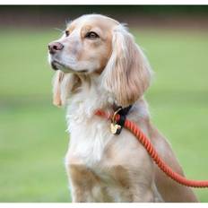 Digby & Fox One Size Rope Slip Dog Lead