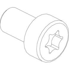 CUBIC Cylinderskrue torx 3101-0816