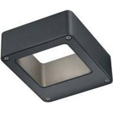 Trio Lighting Reno Wall light
