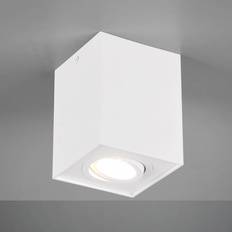 Plafond lampa Trio Lighting Biscuit Ceiling Flush Light