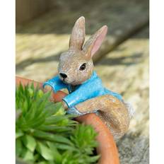 Beatrix Potter Rabbit Climbing Plant