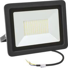 Noctis The floodlight lux 2