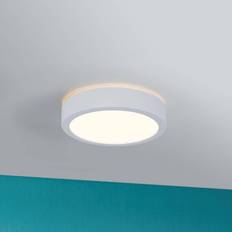 Paulmann Aviar LED Ø 22 cm Blanco 3.000K Plafón