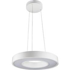 SG Armaturen Pendant Lamps SG Armaturen Circulus Pendant Lamp